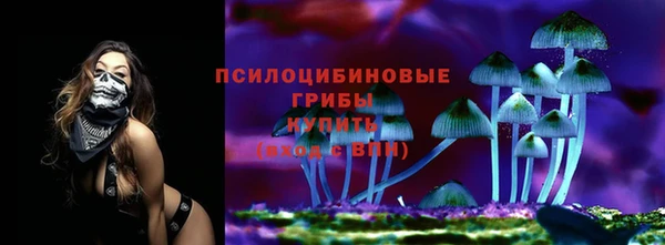 герыч Майский