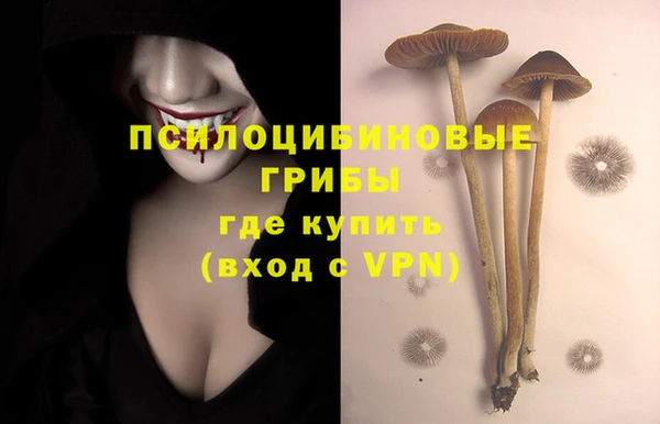 герыч Майский