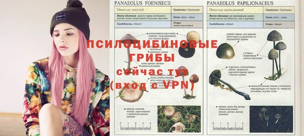 МДМА Магас